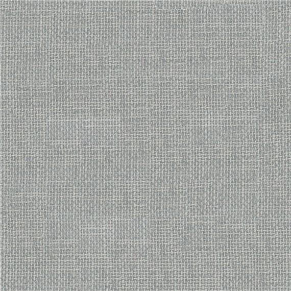Transparent_Pewter