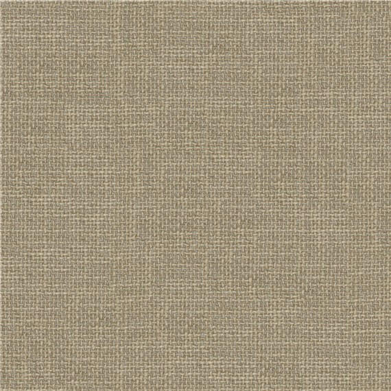 Transparent_Putty
