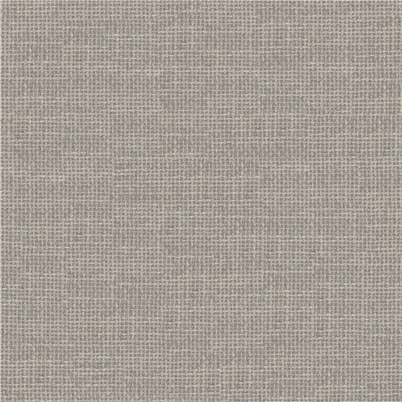 Transparent_Silver