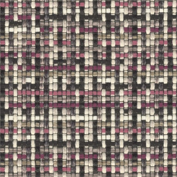 Tricolore_Violet