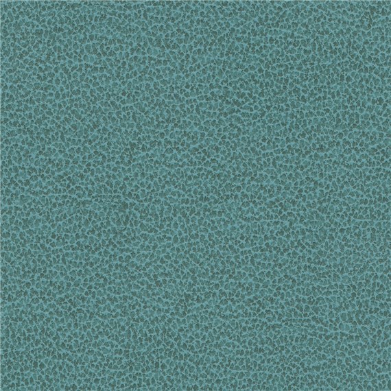 Tuatara_Aqua