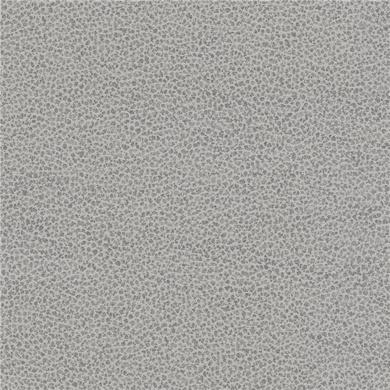 Tuatara_Cement