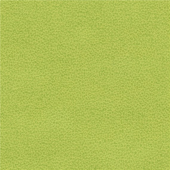 Tuatara_Lime