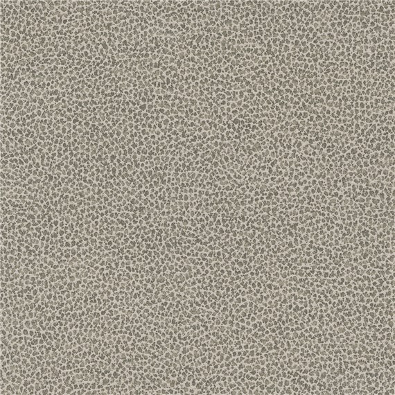 Tuatara_Limestone
