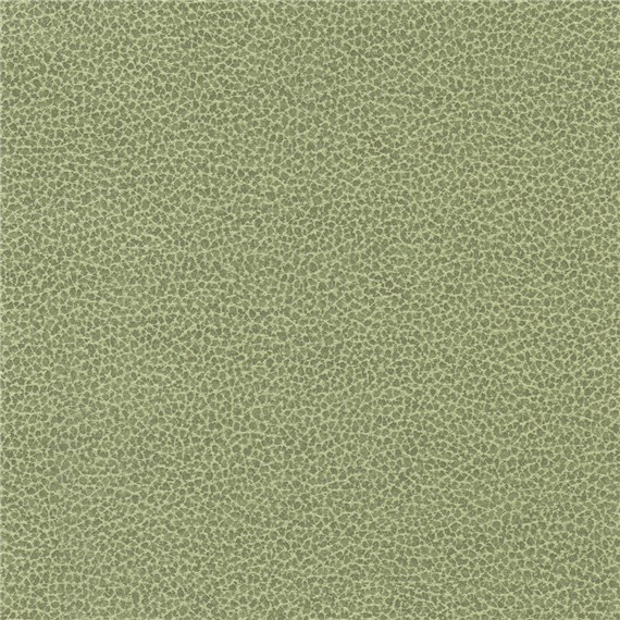 Tuatara_Moss