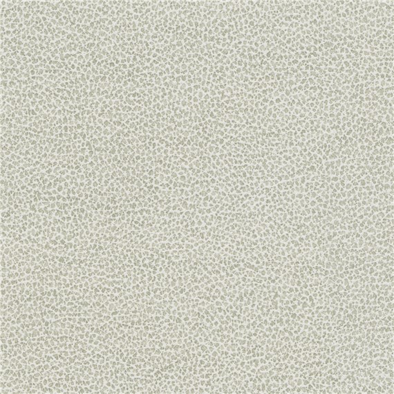Tuatara_Parchment