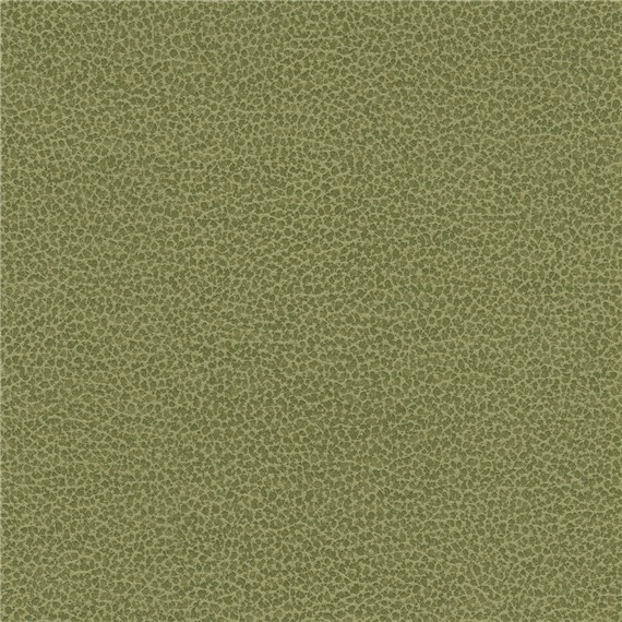 Tuatara_Pasture
