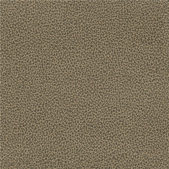 Tuatara_Sepia