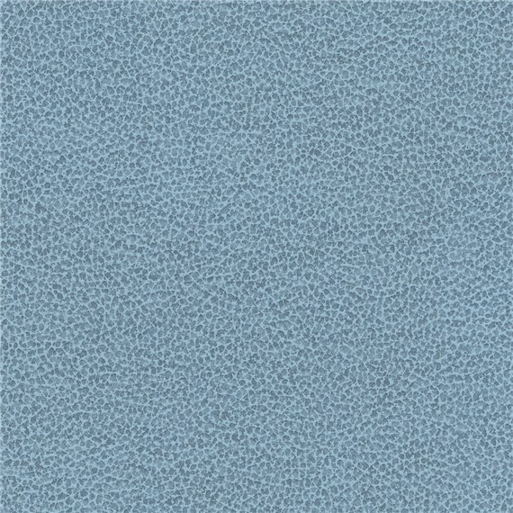 Tuatara_Sky