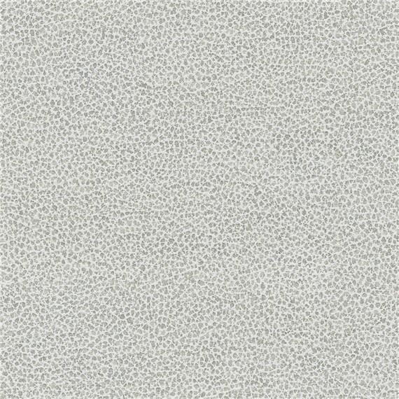 Tuatara_Stone