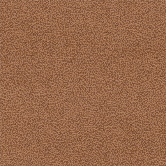 Tuatara_Terracotta