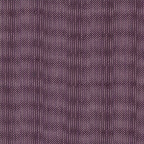 Unwind_Elderberry