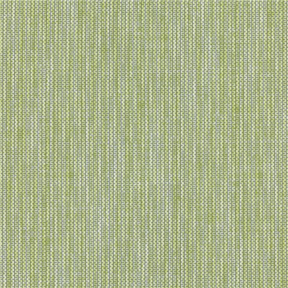 Unwind_Fern