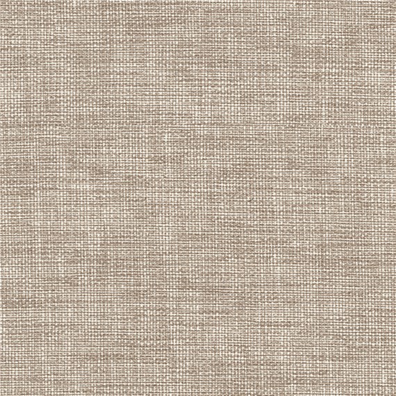 Whitehall_Fawn
