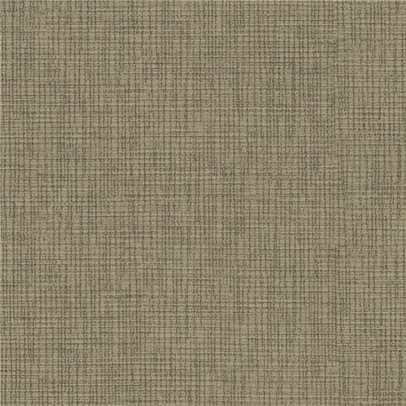 Winfield_Birch