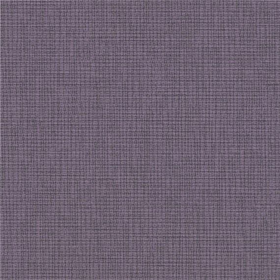 Winfield_Violet