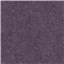 Rays of Violet