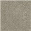 Touch of Grey