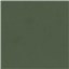 Conifer