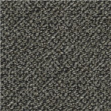 Aficionado - French Gray
