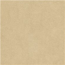 Alcantara