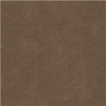 Alcantara