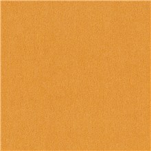 Angora Mohair - Kumquat