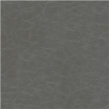 Cantina - Gray