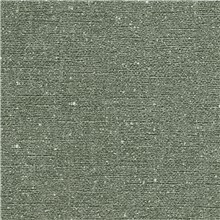 Glossed Linen