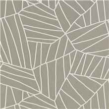 Las Palmas - Salt