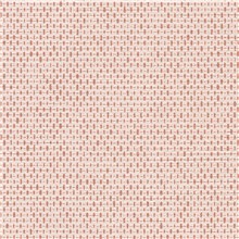 Lincoln - Coral