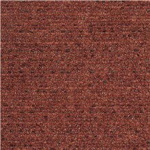 Pixel - Sienna