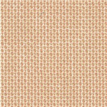 Poise - Coral
