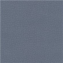 Purechic - Blue Jay