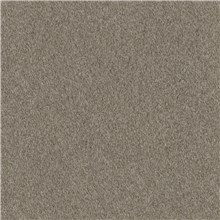 Reel Alpaca - Brown