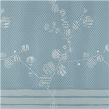 Rx 2016 - Morning Glory