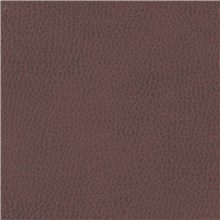 Sunnyvale - Innsbruck