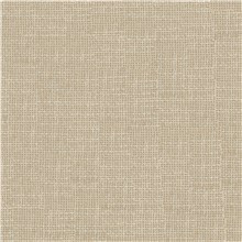 Transparent - Linen