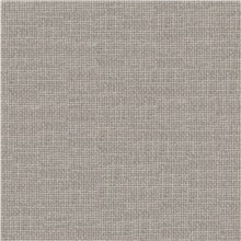 Transparent - Silver