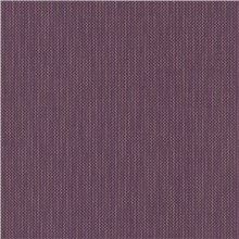Unwind - Elderberry